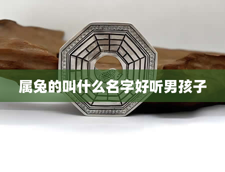 属兔的叫什么名字好听男孩子