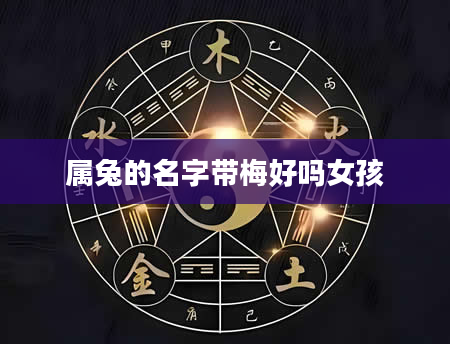 属兔的名字带梅好吗女孩