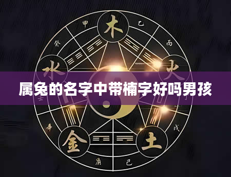 属兔的名字中带楠字好吗男孩