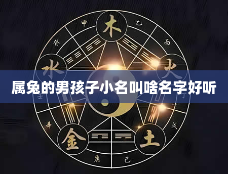 属兔的男孩子小名叫啥名字好听