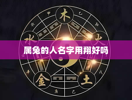 属兔的人名字用翔好吗