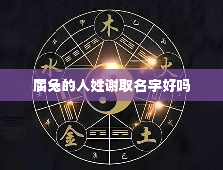 属兔的人姓谢取名字好吗