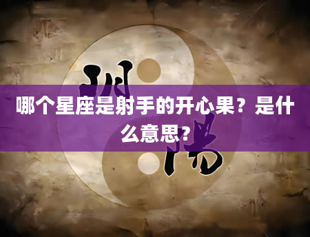 哪个星座是射手的开心果？是什么意思？