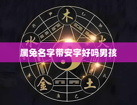 属兔名字带安字好吗男孩