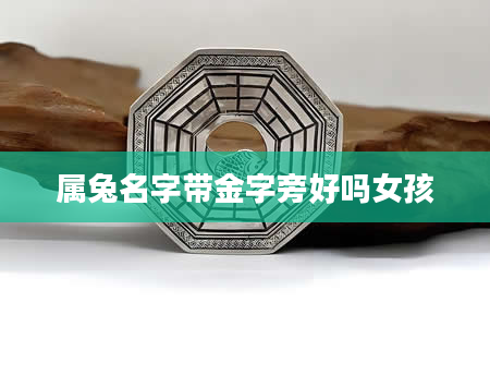 属兔名字带金字旁好吗女孩