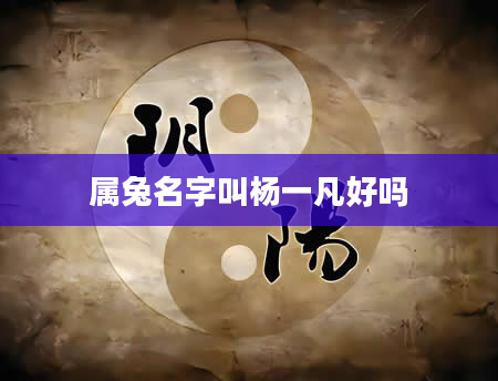 属兔名字叫杨一凡好吗