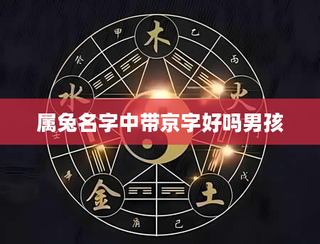 属兔名字中带京字好吗男孩