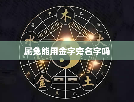 属兔能用金字旁名字吗