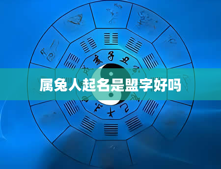 属兔人起名是盟字好吗