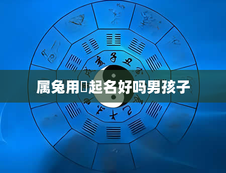 属兔用玥起名好吗男孩子