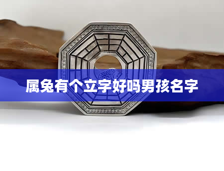 属兔有个立字好吗男孩名字
