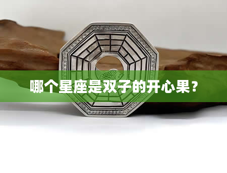 哪个星座是双子的开心果？