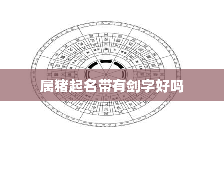 属猪起名带有剑字好吗