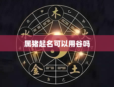 属猪起名可以用谷吗