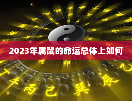 2023年属鼠的命运总体上如何