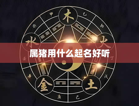 属猪用什么起名好听