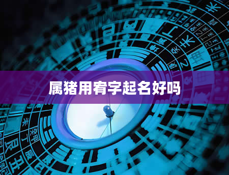 属猪用宥字起名好吗