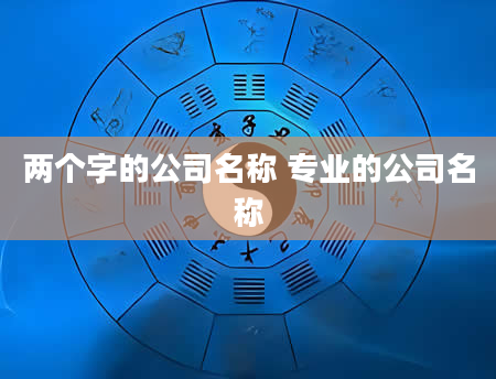 两个字的公司名称 专业的公司名称