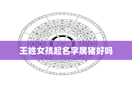 王姓女孩起名字属猪好吗