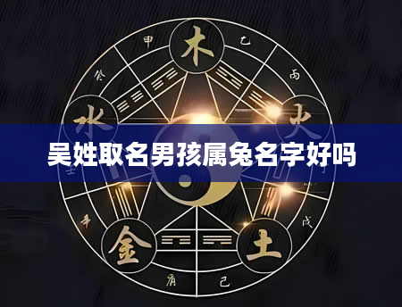 吴姓取名男孩属兔名字好吗