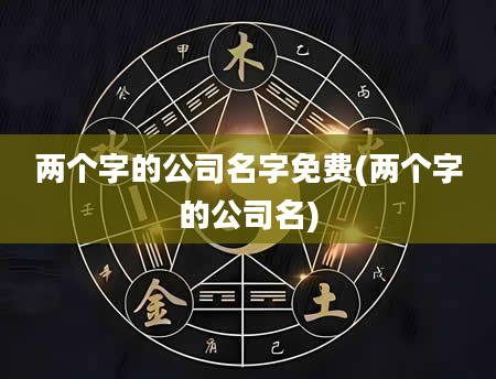 两个字的公司名字免费(两个字的公司名)