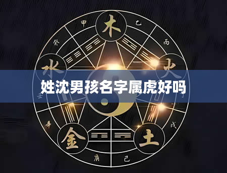 姓沈男孩名字属虎好吗