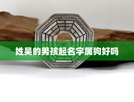 姓吴的男孩起名字属狗好吗