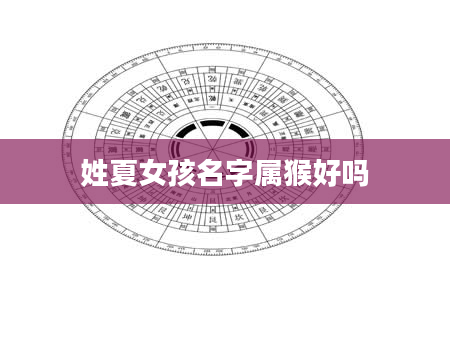 姓夏女孩名字属猴好吗