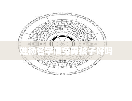 姓杨名字属兔男孩子好吗