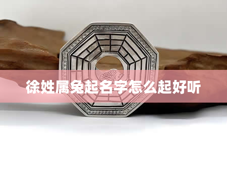 徐姓属兔起名字怎么起好听