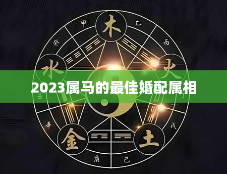 2023属马的最佳婚配属相