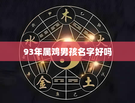 93年属鸡男孩名字好吗