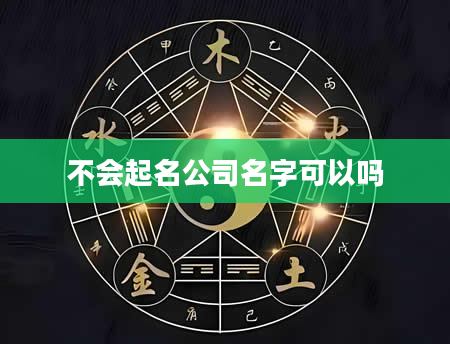 不会起名公司名字可以吗