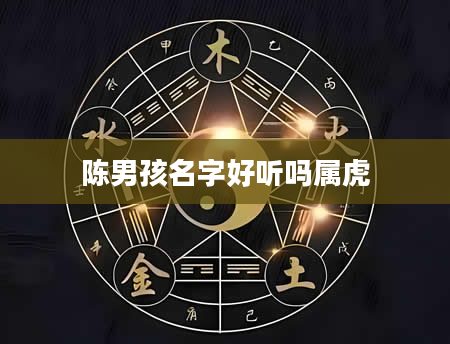 陈男孩名字好听吗属虎