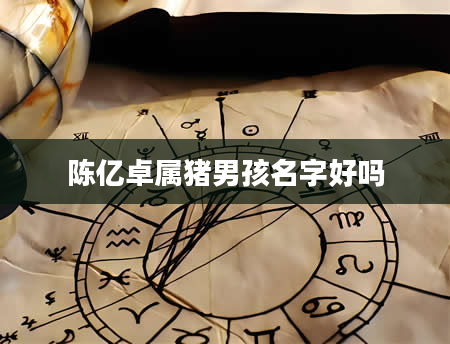 陈亿卓属猪男孩名字好吗