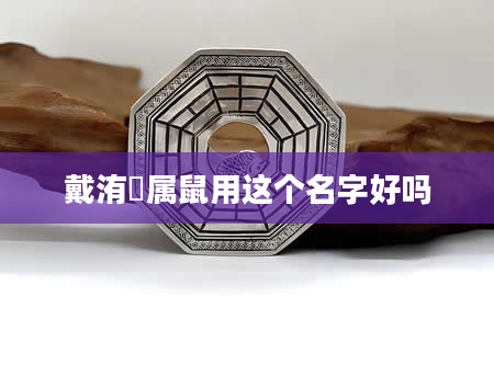 戴洧荍属鼠用这个名字好吗