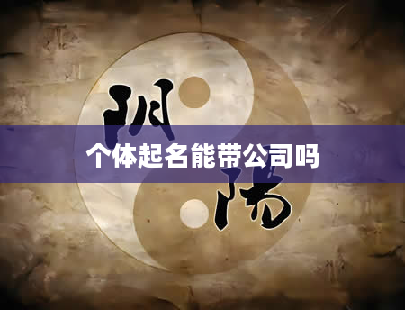 个体起名能带公司吗