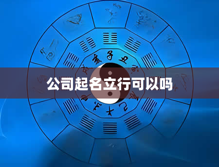 公司起名立行可以吗