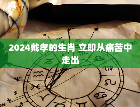 2024戴孝的生肖 立即从痛苦中走出