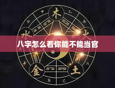 八字怎么看你能不能当官
