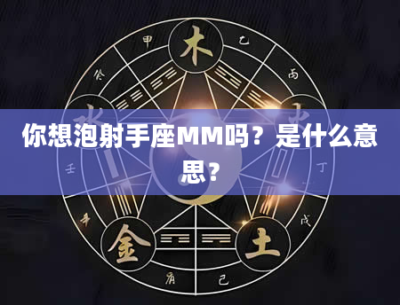 你想泡射手座MM吗？是什么意思？