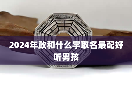 2024年政和什么字取名最配好听男孩