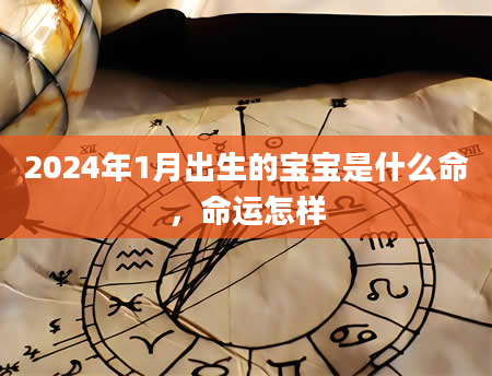2024年1月出生的宝宝是什么命，命运怎样