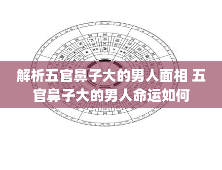 解析五官鼻子大的男人面相 五官鼻子大的男人命运如何