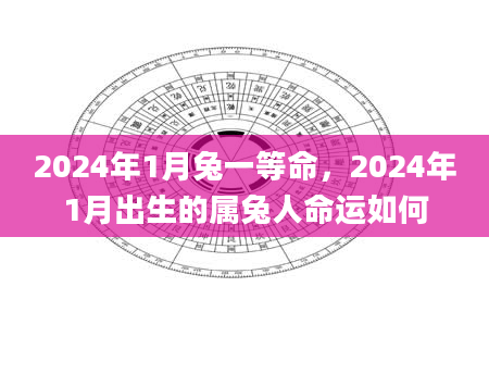 2024年1月兔一等命，2024年1月出生的属兔人命运如何