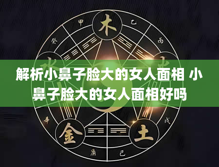 解析小鼻子脸大的女人面相 小鼻子脸大的女人面相好吗