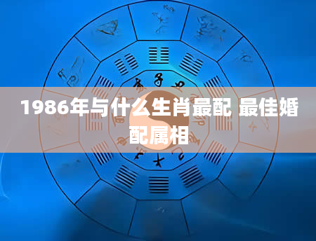 1986年与什么生肖最配 最佳婚配属相