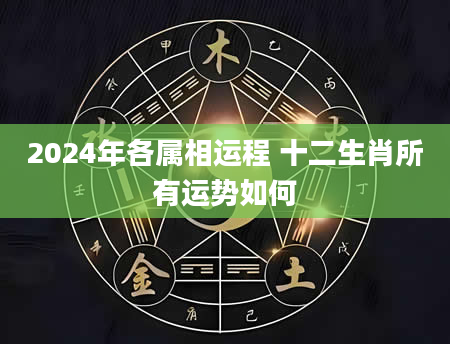 2024年各属相运程 十二生肖所有运势如何