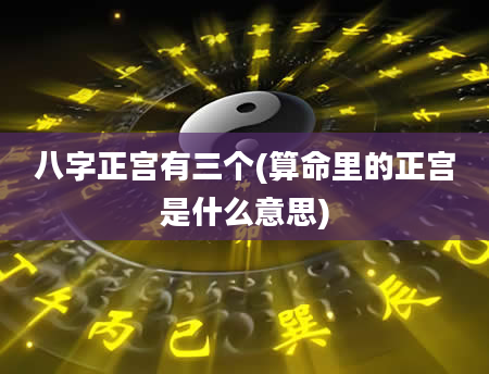 八字正宫有三个(算命里的正宫是什么意思)