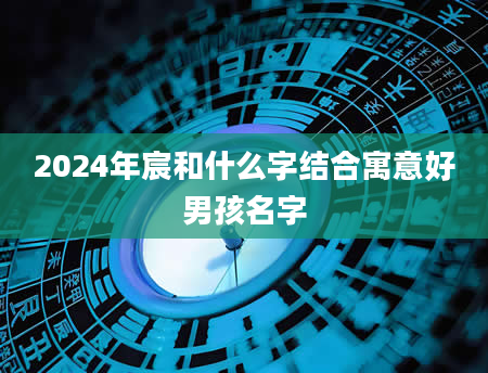 2024年宸和什么字结合寓意好男孩名字